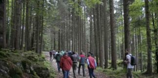 “Un mese dopo la catastrofe”, sull’Altopiano manifestazione nazionale di ambientalisti e animalisti. Ci saranno anche Zanoni, Guarda e Bartelle