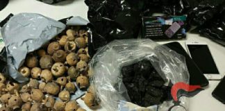 Carabinieri sequestrano 10 kg di droga a due indiani trentenni