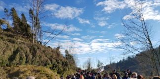 Boschi devastati, un serpentone silenzioso di animalisti e ambientalisti sull’Altopiano