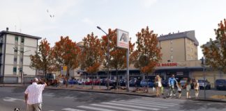 Via Rossini a San Lazzaro, 26 nuovi frassini da 30 mila euro. Cicero: “prima era difficile parcheggiare”