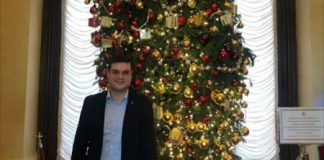 Un albero di Natale vicentino sradicato dalla tempesta donato da Caltrano alla Camera dei Deputati