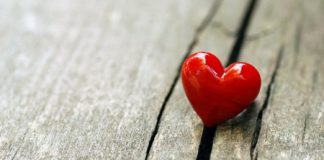 Una storia di lavoro e sofferenza. E di un bidone di immondizia al posto del cuore