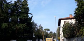 Nuovi alberi “anti-stress” lungo la strada verso Monte Berico: Cicero esaudisce la preghiera dei frati