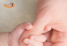 Serenissima Ristorazione gestisce i Lactarium di due ospedali veneti