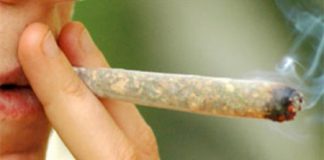 Nuovo controllo antidroga in una scuola di Vicenza: al Da Schio trovata una 19enne con marijuana, sospesi i documenti