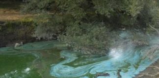 Inquinamento, M5S: “La magistratura vuole approfondire la contaminazione della zona inquinata di Cartigliano”