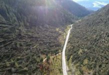 “Cimitero” di boschi, accordo tra Intesa Sanpaolo e Federlegno Arredo per sostegno della filiera del legno