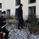 Controllo del territorio, Compagnia Carabinieri di Bassano del Grappa: rintracciato un catturando, denunciate 5 persone Carabinieri di Bassano del Grappa in azione