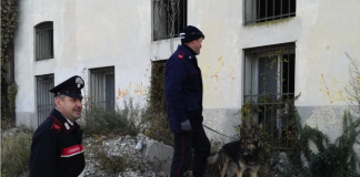 Controllo del territorio, Compagnia Carabinieri di Bassano del Grappa: rintracciato un catturando, denunciate 5 persone Carabinieri di Bassano del Grappa in azione