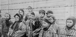 I bambini della Shoah, li ricorda l’Ipab per i Minori di Vicenza I bambini della Shoah