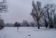 Fiocchi di neve in mattinata a Vicenza: AIM Amcps presidia i punti sensibili Nevicata