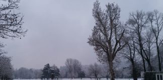 Fiocchi di neve in mattinata a Vicenza: AIM Amcps presidia i punti sensibili Nevicata