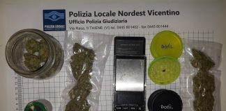 Odore di marijuana dall’auto, 3 giovani del Vicentino denunciati a Sarcedo Odore di marijuana
