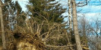 Maltempo, governo stanzia 755 milioni per il Veneto. Zaia: “mai avuto dubbi”