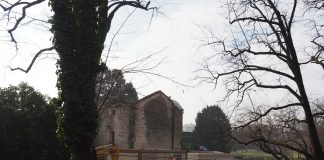 Serre Parco Querini, ricorso straordinario a Mattarella presentato da associazioni. Cicero: “procediamo sereni” Parco Querini