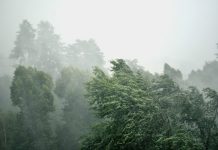 Meteo in Veneto, con la Befana arriva Buran: allerta vento e ghiaccio Vento in Veneto