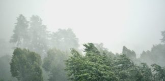 Meteo in Veneto, con la Befana arriva Buran: allerta vento e ghiaccio Vento in Veneto