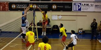 Bassano Volley, maschile e femminile premiate dalla Fipav