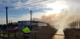 Incendio in azienda, Arpav: nube di fumo non preoccupa