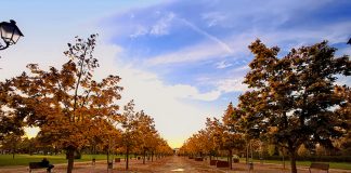 A scuola di Protezione Civile in centro città, campo base a Campo Marzo