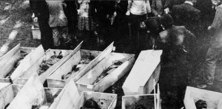 Ricordo vittime delle foibe, al Canova onorificenze per Bruno Gaspare e Giuseppe Scapin Foibe, un'immagine