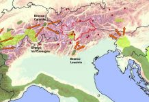 Piano lupo, Berlato: “approvato a larga maggioranza” diffusione lupo