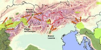 Piano lupo, Berlato: “approvato a larga maggioranza” diffusione lupo