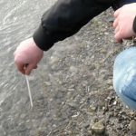 CoVePA e Pfas: “Ambiente e profitto inconciliabili nell’attuale modello economico, bisogna ridefinire le responsabilità degli imprenditori” Pfas, è emergenza sanitaria covepa e pfas