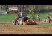 La carneficina sul lavoro continua: già sei morti nei primi 4 giorni dell’anno dopo i 704 del 2018