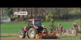 La carneficina sul lavoro continua: già sei morti nei primi 4 giorni dell’anno dopo i 704 del 2018