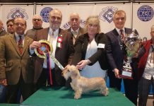 I premi di Hit Show: tra i cani è il bassotto di Cristina Frigoli il più bello tra la “carica” dei 1500