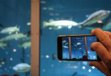 Pescare Show aperta in fiera: impressionanti numeri del settore della pesca in Italia