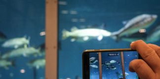 Pescare Show aperta in fiera: impressionanti numeri del settore della pesca in Italia