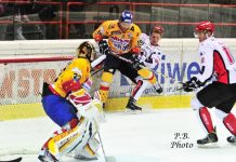Definiti gli accoppiamenti dei Quarti di Finale: l’Asiago affronterà lo Jesenice! Hockey su ghiaccio (fase di gioco con l'Asiago Hockey)