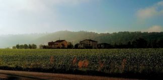 Sale in auto con bella donna: dopo un mese 66enne la denuncia