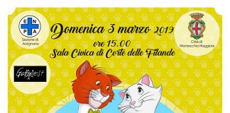 Seconda edizione della Festa del Gatto a Montecchio Maggiore: consigli, esibizioni e concorsi per celebrare i nostri amici felini Festa del gatto