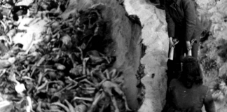 Giorno della Memoria… della Shoàh: non confonderlo con altre 161 ricorrenze ONU Giorno della Memoria. Bergen-Belsen, Germany, 1945, Female camp guards being forced to bury the dead.