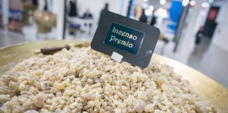 Koinè, monsignor Russo apre i lavori: poi taglio del nastro con Rucco e Cagnoni