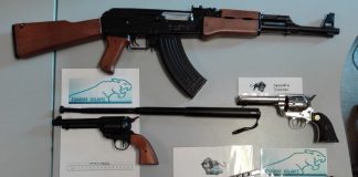 Il ritorno di Bollito: spari, manganello e coltelli contro ragazza immaginaria