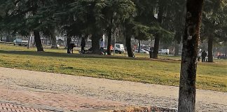 Controlli a Campo Marzo, 4 persone denunciate per divieto di stazionamento campo marzo