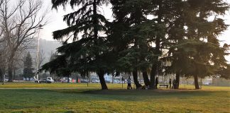 Campo Marzo, uomo con la torcia domenica notte: trovate 4 confezioni di marijuana sotterrate