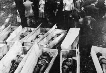 Foibe, Roberto Cattaneo (Forza Italia Vicenza): bene ha fatto sindaco Rucco a negare Villa Lattes per evento negazionista Vittime delle foibe, è istituzionale Il giorno del ricordo