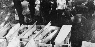 Foibe, Roberto Cattaneo (Forza Italia Vicenza): bene ha fatto sindaco Rucco a negare Villa Lattes per evento negazionista Vittime delle foibe, è istituzionale Il giorno del ricordo