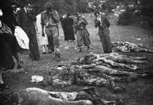 Fumetto foibe, Milena Cecchetto e la casa editrice Ferrogallico ribattono all’Anpi Le foibe