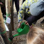 Approvata all’unanimità in Consiglio comunale la Mozione “Silva”, progetto di forestazione urbana a Vicenza alberi