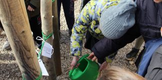 Gli studenti della primaria di Montorso “adottano” i giovani aceri del cortile della scuola alberi