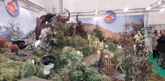 HIT Show, Cacciatori Veneti Confavi: “30mila borsette gialle in fiera a Vicenza”