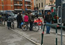 Incidenti sulle strisce pedonali, Consiglio Comunale bipartisan. Spiller: “led in tutti gli attraversamenti” incidente sulle strisce pedonali