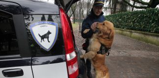 Campo Marzo, il ritorno del cane antidroga Buddy. Rucco: “ma la repressione da sola non basta” polizia municipale e cane buddy