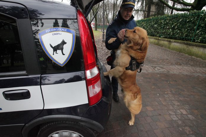 polizia municipale e cane buddy